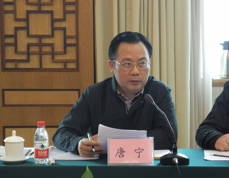 1518335769515951.jpg 003唐宁秘书长在座谈会上讲话.JPG