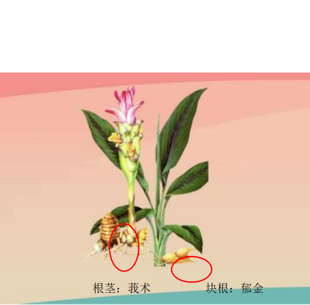 1625621514711712.png