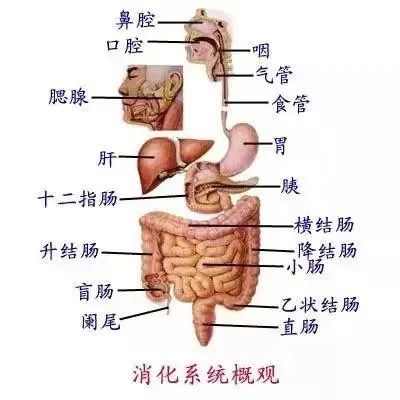 1648000199639364.png image.png