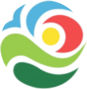 骨三