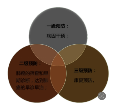 图片6 图片6