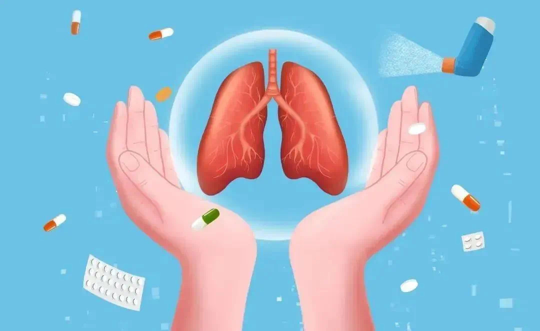 图片6