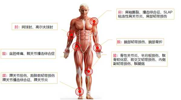 图片1 图片1