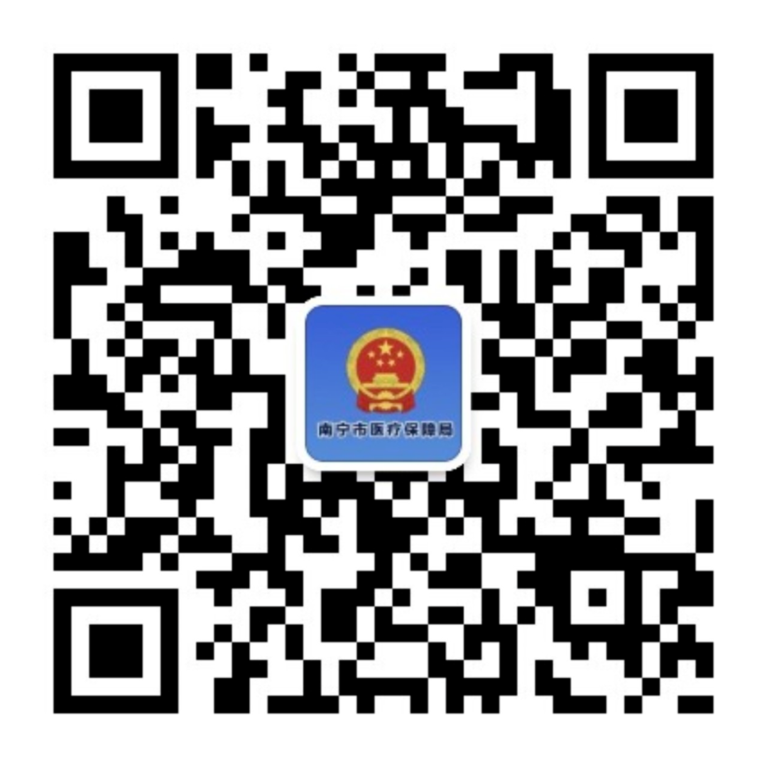 _home_NNHS_Desktop_医保logo_南宁医保高清图.png